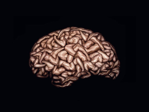 397228 (a): :1024x768